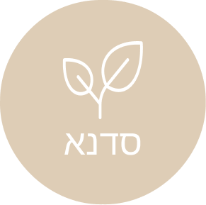 אייקון של סדנא - ליאת אדלשטיין, מרצה ויועצת לתהליכי שינוי וצמיחה